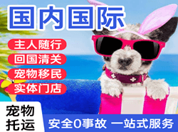 长水航空运输国际宠物托运 【国